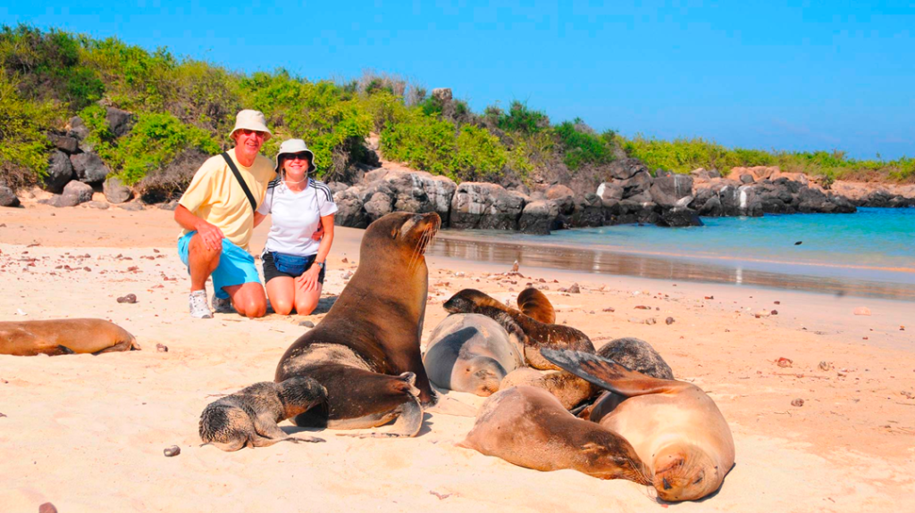 Pareja de turistas posando atrás de una familia de lobos marinos en galápagos sobre la playa